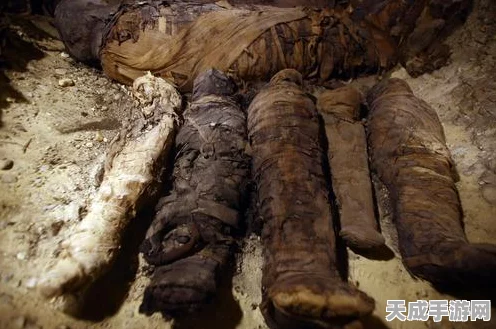 探秘古埃及文明，手游新作融入神秘元素，带你领略千年风采