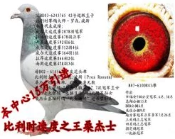 桃源深处有人家，揭秘育种配方大赛，赢取稀有品种秘籍！