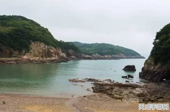 王者荣耀神秘海螺互动揭秘，解锁夏日奇遇，赢取限定奖励