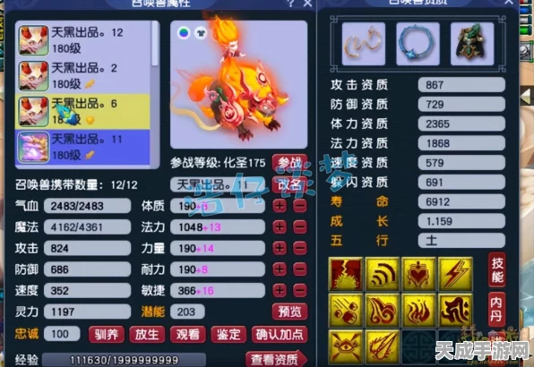 梦幻西游手游，深度解析龟速血宠加点策略，打造战场不死小强