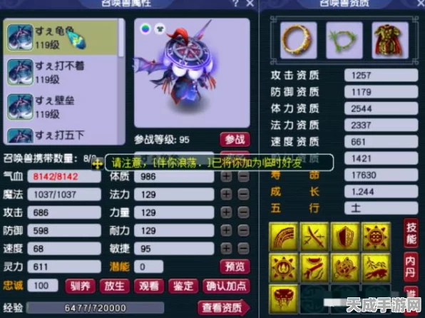 梦幻西游手游，深度解析龟速血宠加点策略，打造战场不死小强