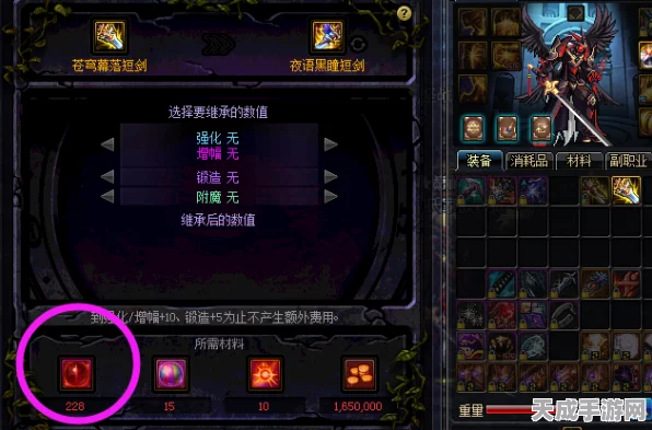 DNF手游珍稀饰品揭秘，黑色双子戒指电属性深度剖析与实战应用