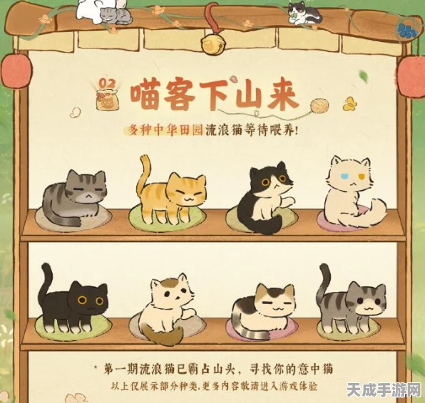 桃源深处有人家，揭秘喵客小筑趣味玩法与最新动态