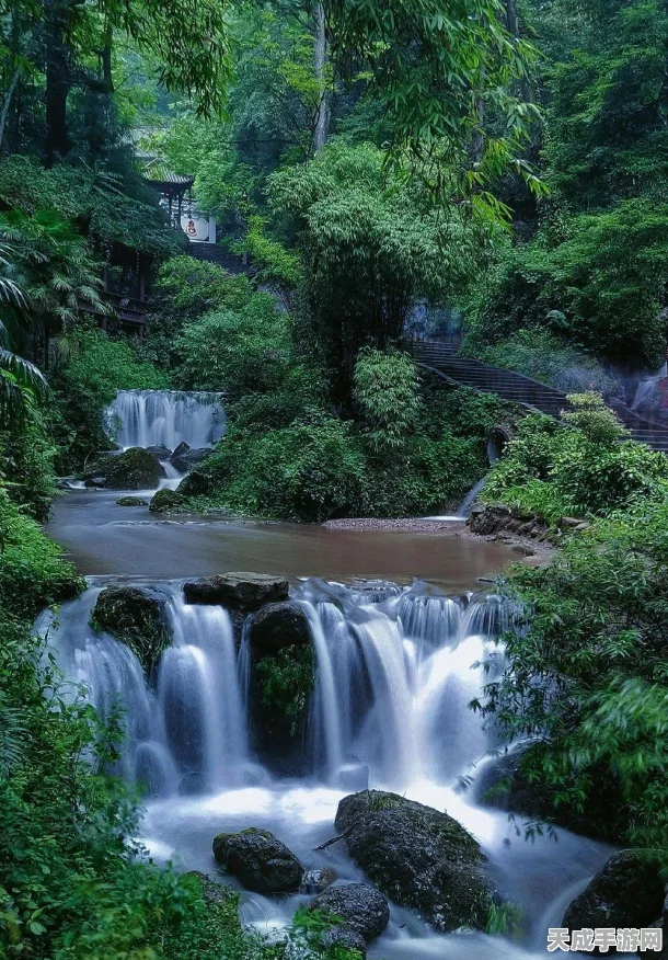 烟雨江湖探秘，青城山温泉泡汤全攻略，解锁隐藏玩法！