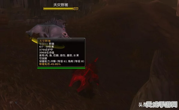 魔兽世界怀旧服TBC，猎人宠物终极指南，解锁TBC猎人宠物选择与培养秘籍