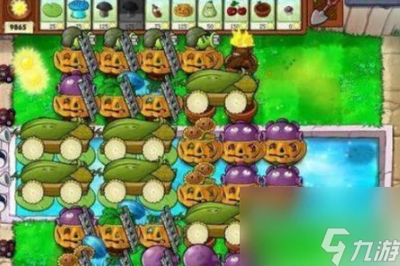 植物大战僵尸九五版27关攻略，解锁高效布阵，轻松击败僵尸大军！