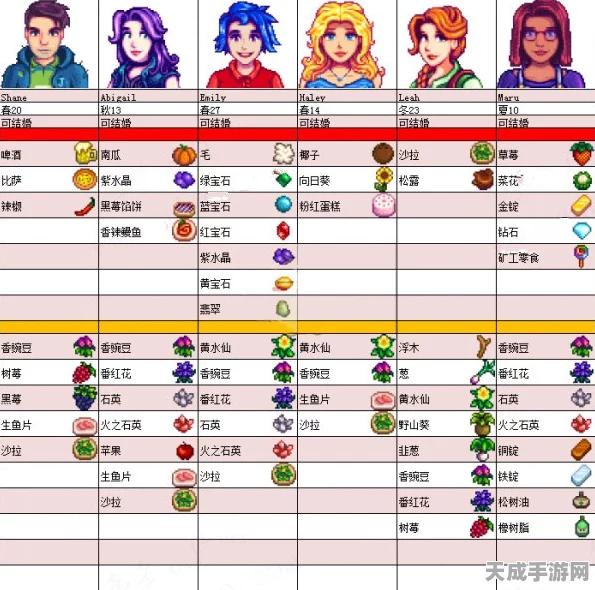星露谷物语，揭秘海莉喜好，打造完美情缘攻略