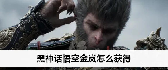 黑神话悟空攻略大揭秘，金岚获取全攻略与高效技巧热议