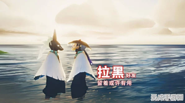 光遇好友关系迷雾，揭秘被拉黑与被删除的微妙差别
