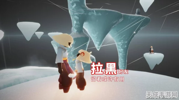 光遇好友关系迷雾，揭秘被拉黑与被删除的微妙差别