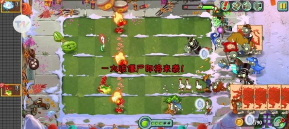 解锁植物大战僵尸创意庭院，全面攻略与最新动态