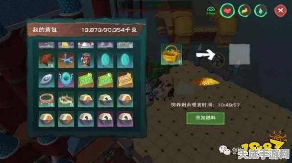 创造与魔法宠物饲养秘籍，解锁宠物饲料搭配新技巧