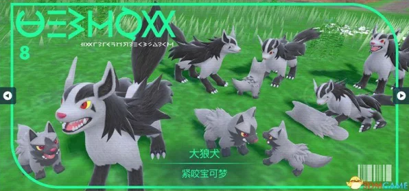 口袋妖怪探秘，闪光大狼犬捕捉攻略与最新动态