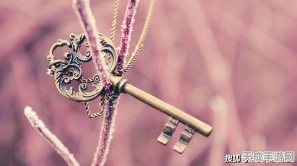 最强蜗牛接骨木魔杖获取攻略，解锁神秘力量的钥匙