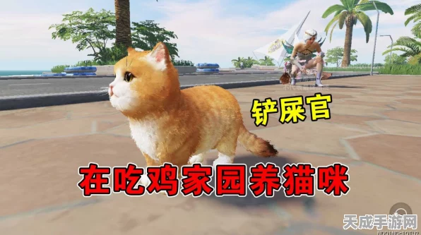 和平精英，萌猫家园养成大赛全攻略，揭秘萌宠培育秘籍
