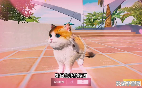 和平精英，萌猫家园养成大赛全攻略，揭秘萌宠培育秘籍