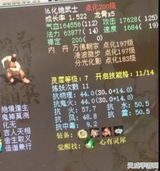 大话西游手游，揭秘血敏守护最佳选择，助你打造无敌战队！