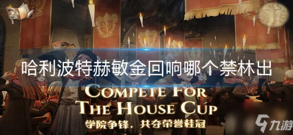 哈利波特魔法觉醒，深度剖析金妮回响的实战效果与强度评级