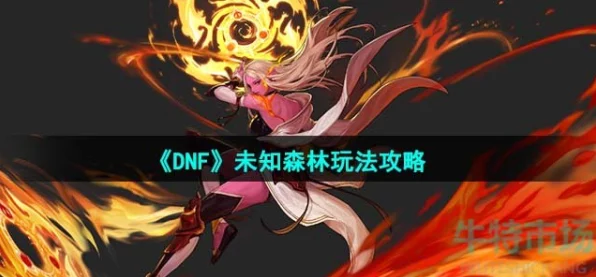 DNF未知森林深度探索，全面攻略与玩法揭秘