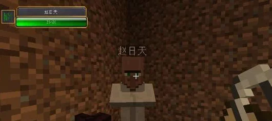 我的世界创意玩法揭秘，命名牌让生物倒立，打造奇幻世界新风尚