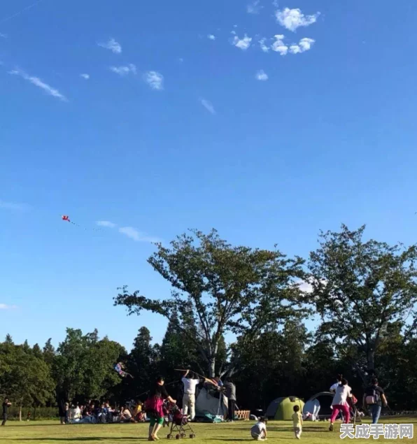 蓝熊大奇幻之旅，美食挑战与神秘栖息地探索赛盛大开启