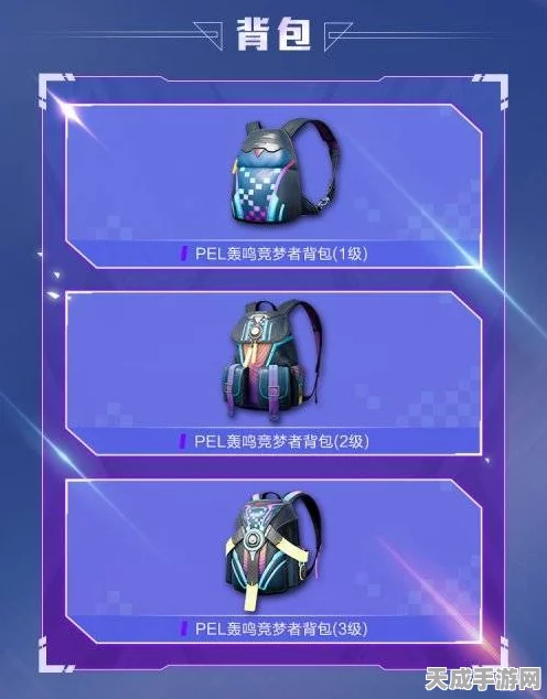 和平精英皮肤获取全攻略，解锁炫酷装扮的多样途径
