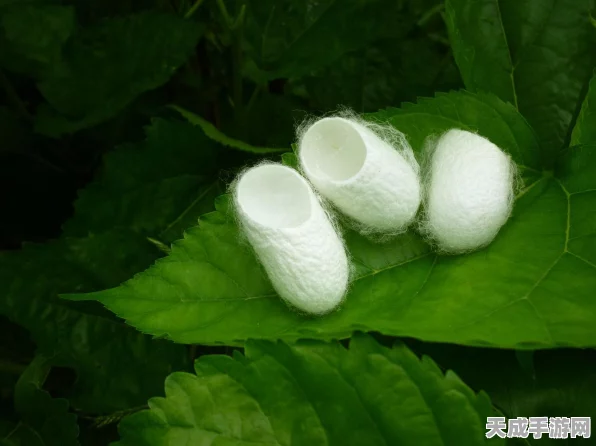 在我们之间，捉迷藏小偷——烧脑推理游戏新体验，挑战你的思维极限！