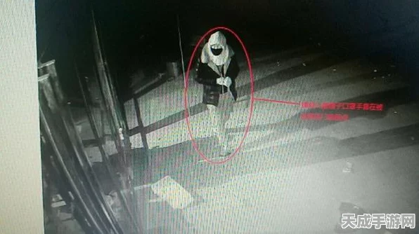 在我们之间，捉迷藏小偷——烧脑推理游戏新体验，挑战你的思维极限！