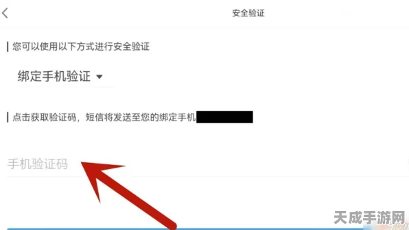 原神新手必看，揭秘注册后默认密码真相及安全设置指南