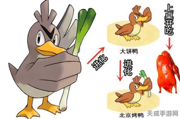 揭秘！口袋妖怪火红大葱鸭进化之谜，从呆萌到酷炫的华丽蜕变