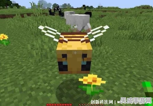 我的世界驯蜂秘籍，成为顶尖驯蜂大师的实战指南