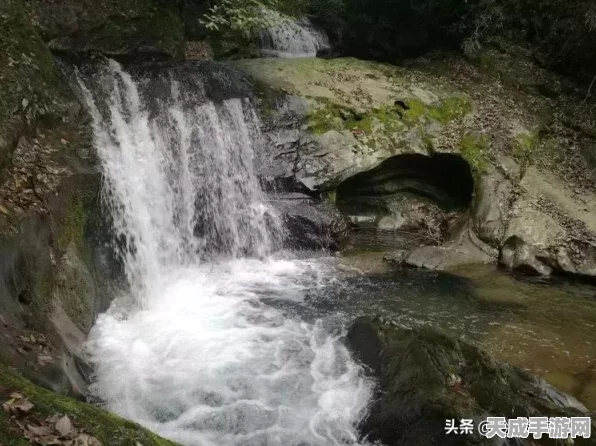 烟雨江湖深度揭秘，神女之谜任务全攻略与通关秘籍