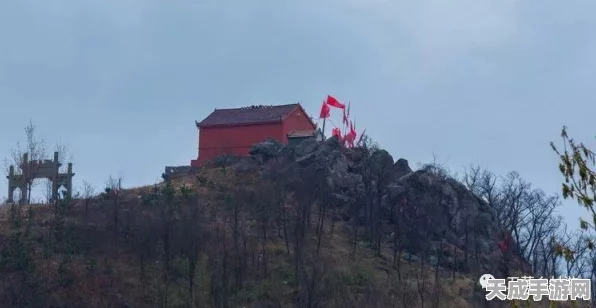 烟雨江湖深度揭秘，神女之谜任务全攻略与通关秘籍