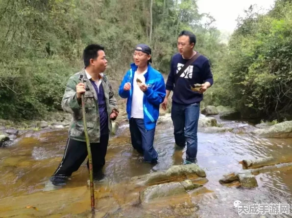 烟雨江湖深度揭秘，神女之谜任务全攻略与通关秘籍