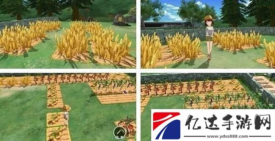 小森生活，小麦粉高效采集全攻略，揭秘隐藏获取途径