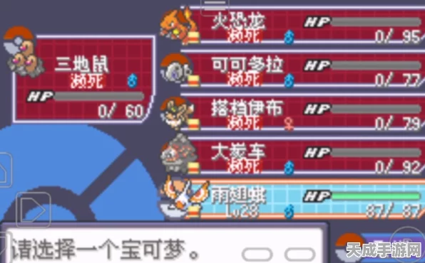 口袋妖怪究极绿宝石4小智版，揭秘减速加特防性格搭配策略