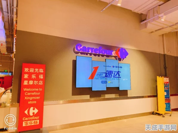 摩尔庄园手游，揭秘黄金锦鲤垂钓大赛高效攻略与技巧详解