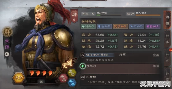 三国志·战略版深度解析，典藏武将与普通武将的差异化魅力