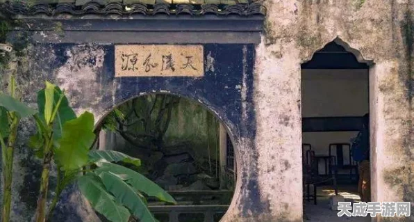 火影女杰，巾帼不让须眉的耐力对决盛宴