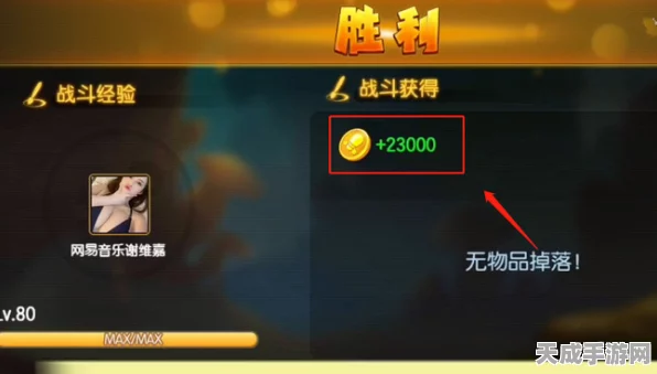 弹弹堂手游，全面攻略！揭秘勇者币高效获取途径