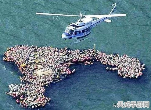 遨游西海岸，超写实漂移竞速，点燃赛车激情新体验