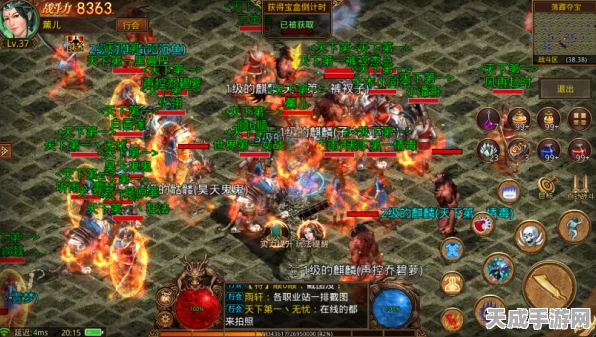 洛托姆属性全揭秘，图鉴复刻下的电鬼魅力探索