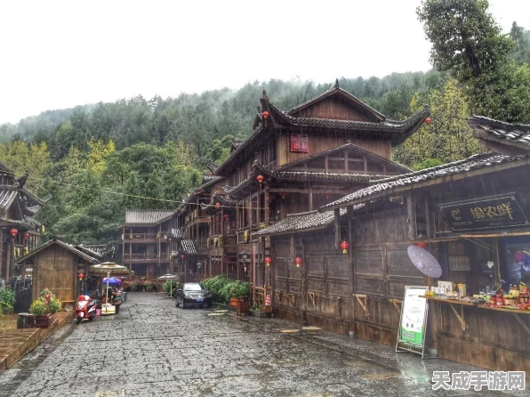 这城有良田课业巡逻解锁全攻略，助你轻松玩转古城管理