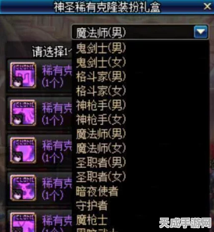 DNF缘定永恒，揭秘特别宠物礼盒珍稀内容与获取攻略
