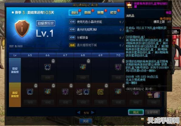 DNF缘定永恒，揭秘特别宠物礼盒珍稀内容与获取攻略
