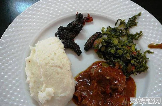 森林之子晾肉架制作秘籍，打造你的生存美食利器