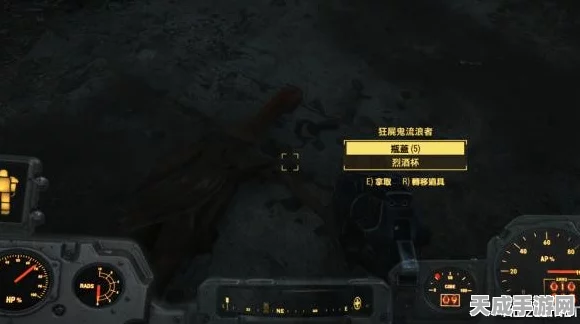 辐射5爆料大汇总，深入探索废土世界的全新冒险