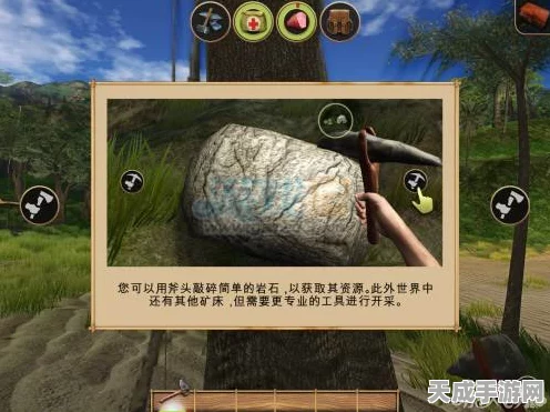 辐射岛探宝奇遇，详尽攻略解锁神秘宝藏