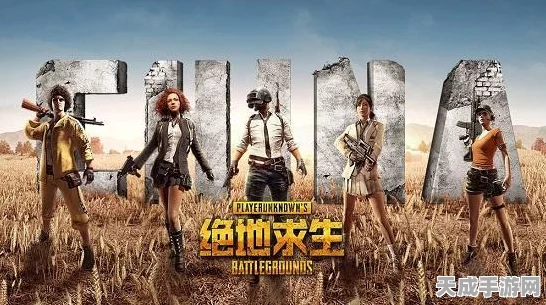 孤岛惊魂2，终极武器指南，解锁战场霸主之路