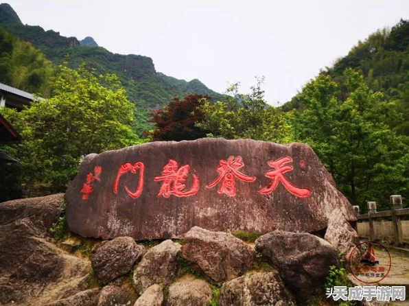 王者荣耀，峡谷相伴赢海量星会员经验，活动全攻略揭秘